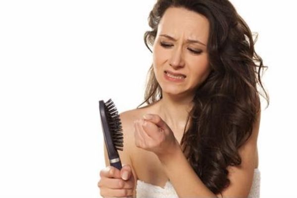 Sử dụng nấm linh chi có thể làm giảm tóc rụn