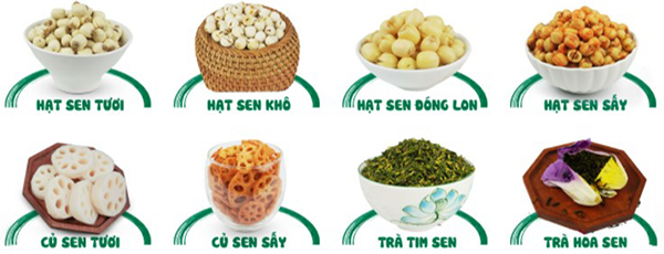 Các sản phẩm của Sen Đại Việt